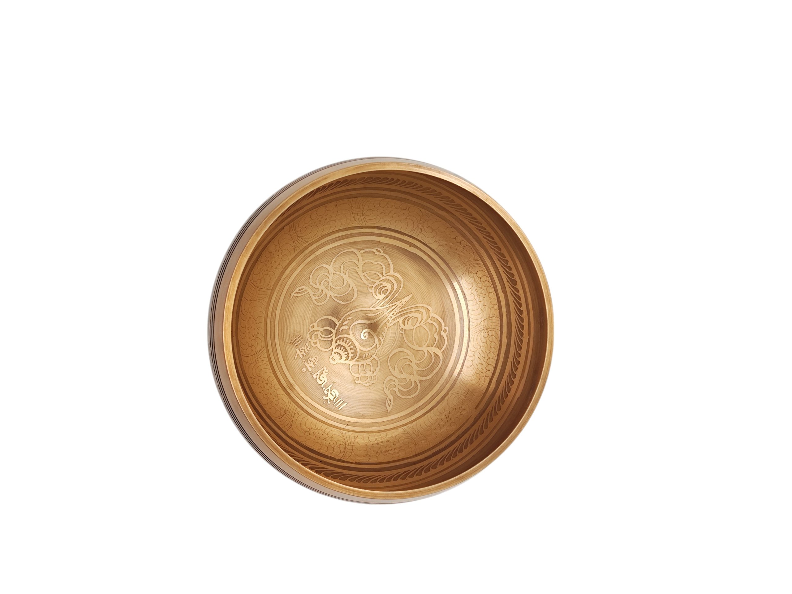 8102000000399-18-Photoroom (1)